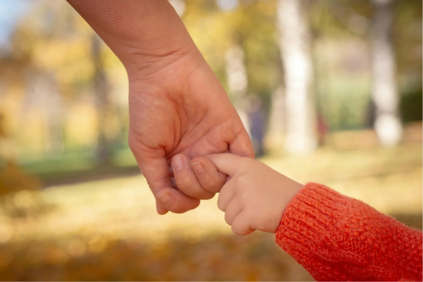 Understanding binding child support agreements Gold Coast